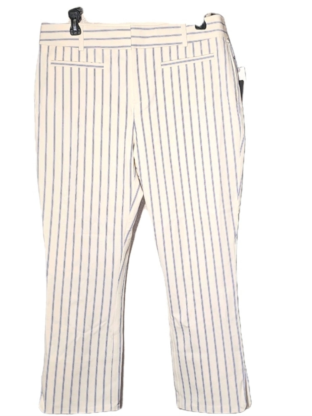 New Anthropologie The Essential Slim Striped Cropped Ivory  Size 8 Trouser Pants